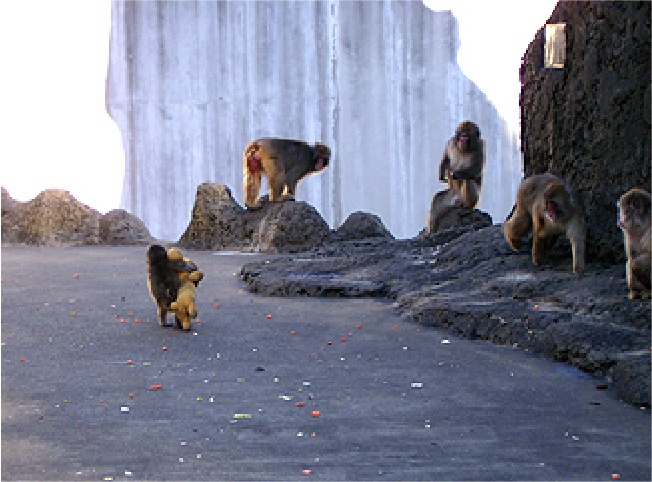 Otome Plush Close up